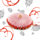 Image illustrant la recette du Saint honoré Fraise Riquette